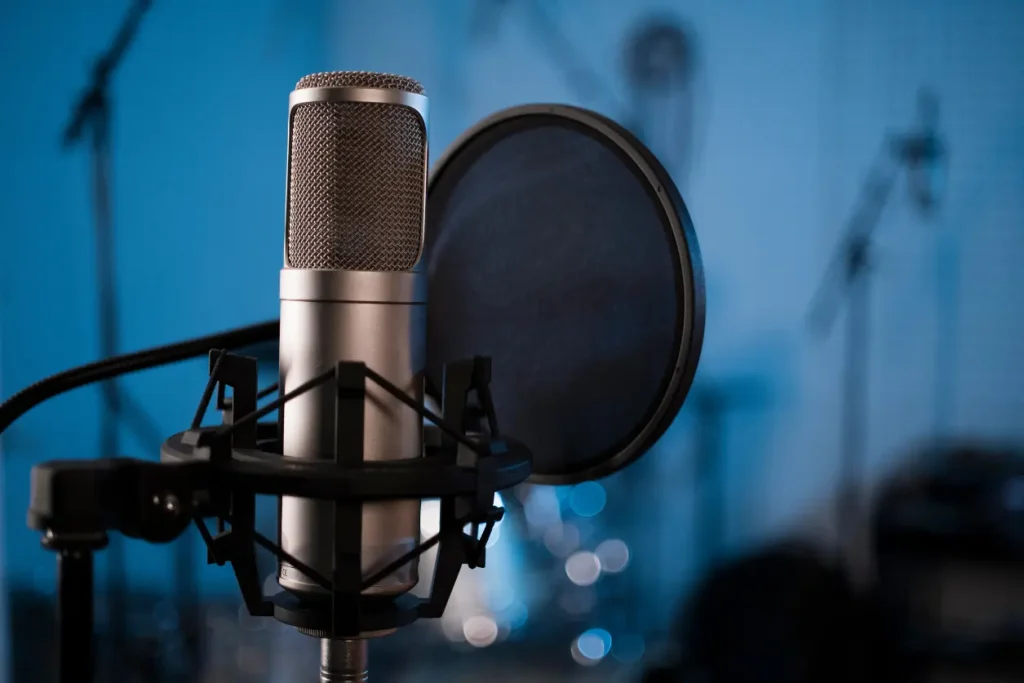 animation dubbing