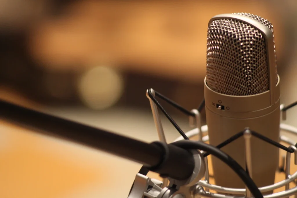 Top 10 Dubbing Companies in India